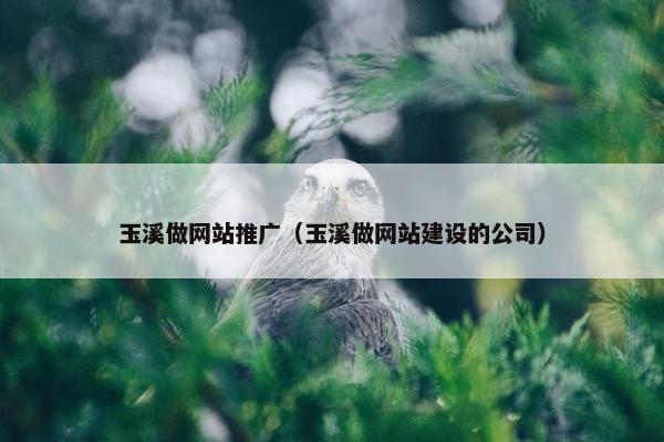 玉溪做网站推广（玉溪做网站建设的公司）