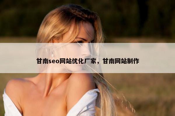 甘南seo网站优化厂家，甘南网站制作