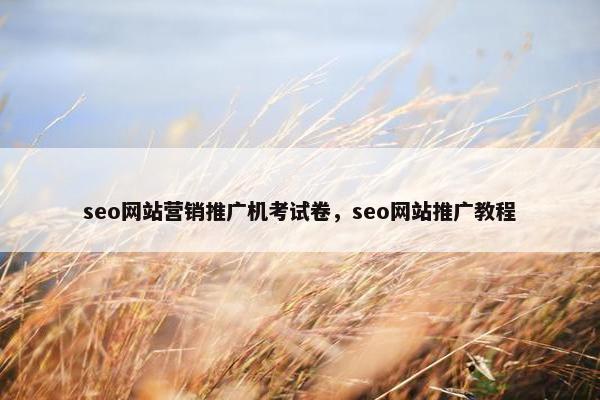 seo网站营销推广机考试卷，seo网站推广教程