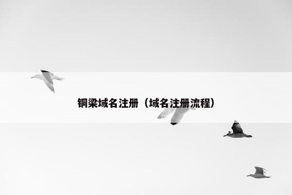 铜梁域名注册（域名注册流程）