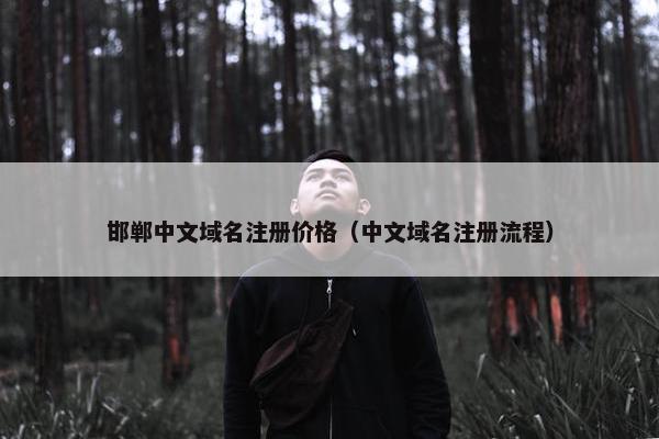 邯郸中文域名注册价格（中文域名注册流程）