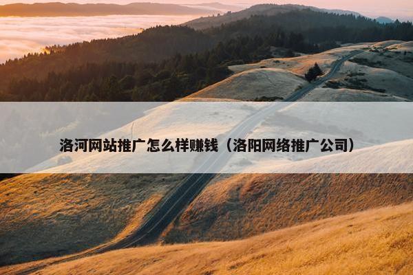洛河网站推广怎么样赚钱（洛阳网络推广公司）