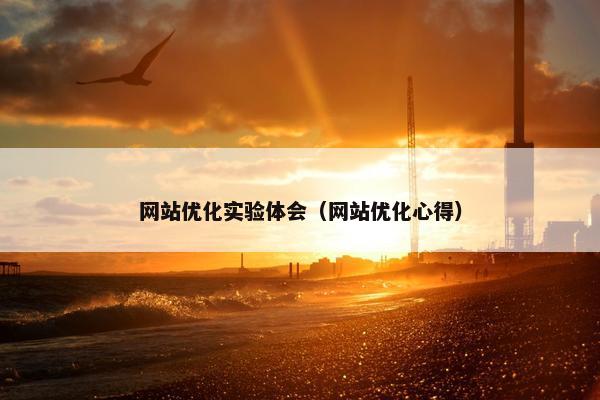 网站优化实验体会（网站优化心得）