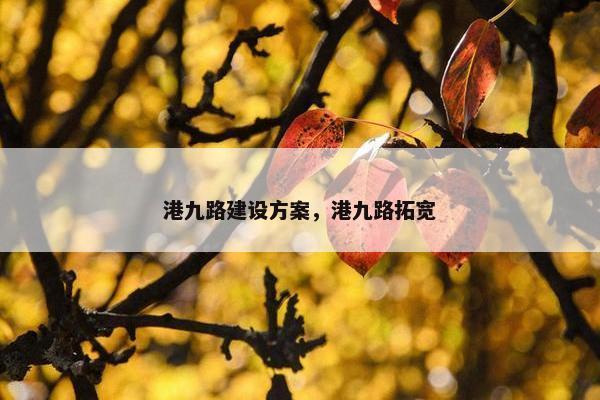 港九路建设方案，港九路拓宽