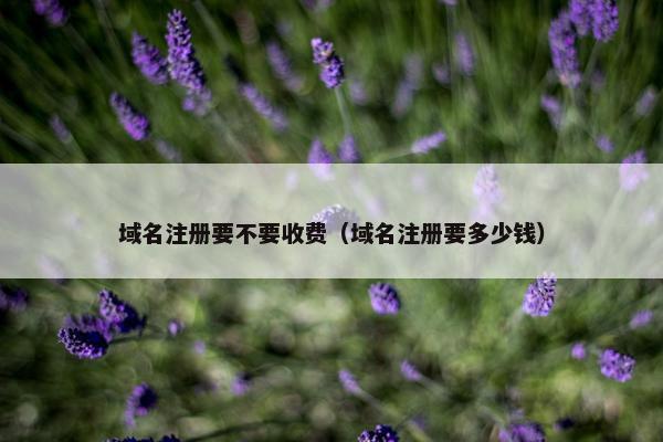 域名注册要不要收费（域名注册要多少钱）