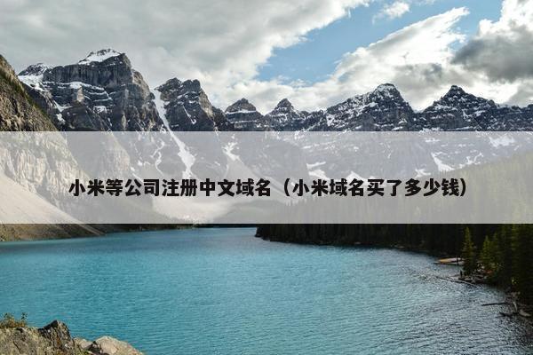 小米等公司注册中文域名（小米域名买了多少钱）