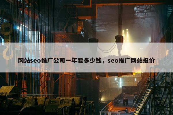 网站seo推广公司一年要多少钱，seo推广网站报价