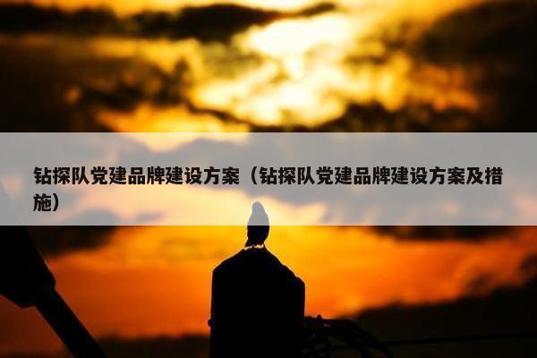 钻探队党建品牌建设方案（钻探队党建品牌建设方案及措施）