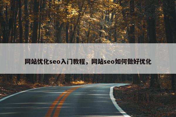 网站优化seo入门教程，网站seo如何做好优化