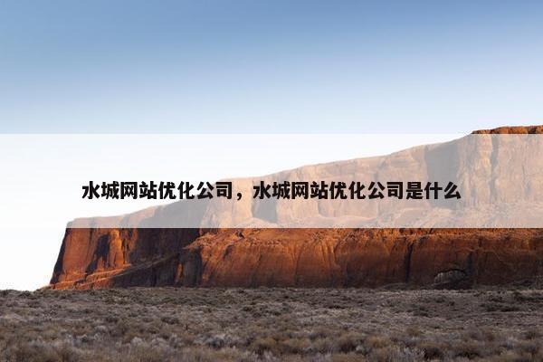 水城网站优化公司，水城网站优化公司是什么