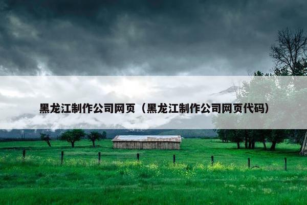 黑龙江制作公司网页（黑龙江制作公司网页代码）