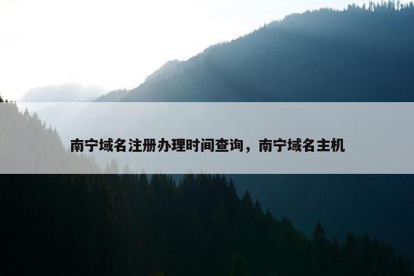 南宁域名注册办理时间查询，南宁域名主机