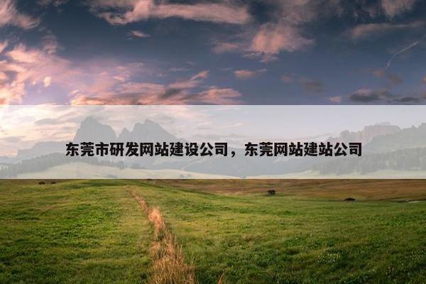 东莞市研发网站建设公司，东莞网站建站公司