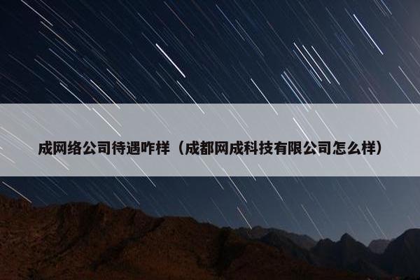 成网络公司待遇咋样（成都网成科技有限公司怎么样）