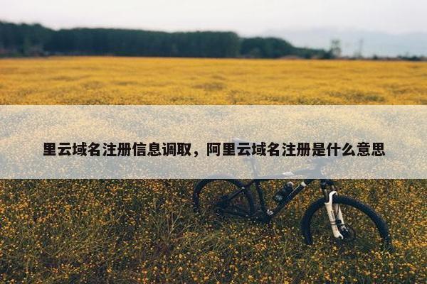 里云域名注册信息调取，阿里云域名注册是什么意思