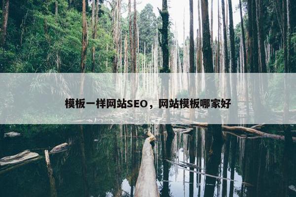 模板一样网站SEO，网站模板哪家好