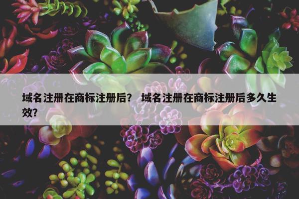 域名注册在商标注册后？ 域名注册在商标注册后多久生效？