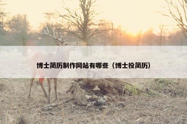 博士简历制作网站有哪些（博士投简历）