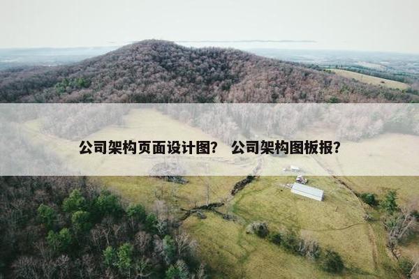 公司架构页面设计图？ 公司架构图板报？