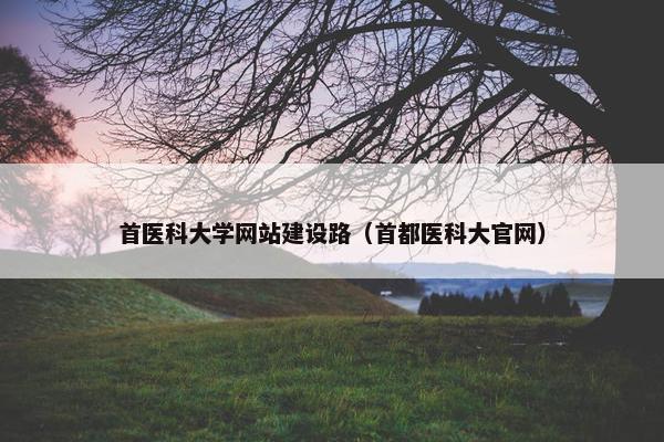 首医科大学网站建设路（首都医科大官网）