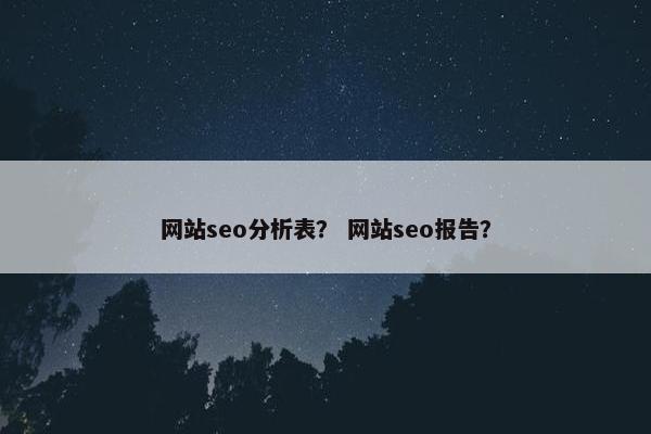 网站seo分析表？ 网站seo报告？