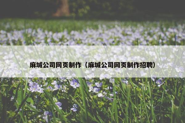 麻城公司网页制作（麻城公司网页制作招聘）