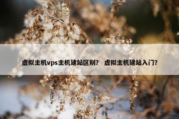 虚拟主机vps主机建站区别？ 虚拟主机建站入门？
