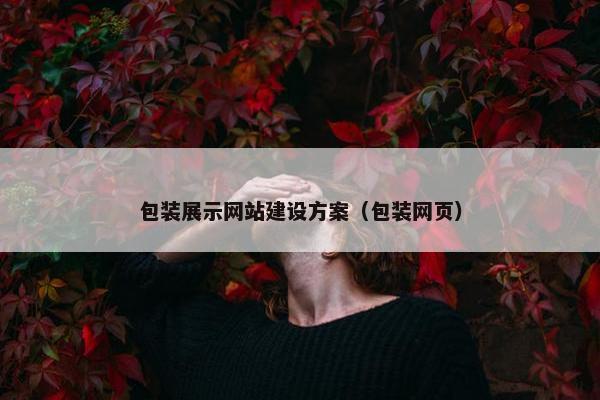 包装展示网站建设方案（包装网页）