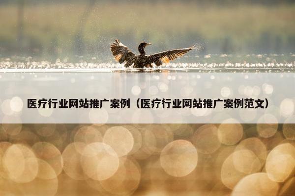 医疗行业网站推广案例（医疗行业网站推广案例范文）