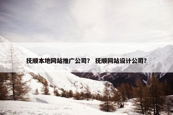 抚顺本地网站推广公司？ 抚顺网站设计公司？