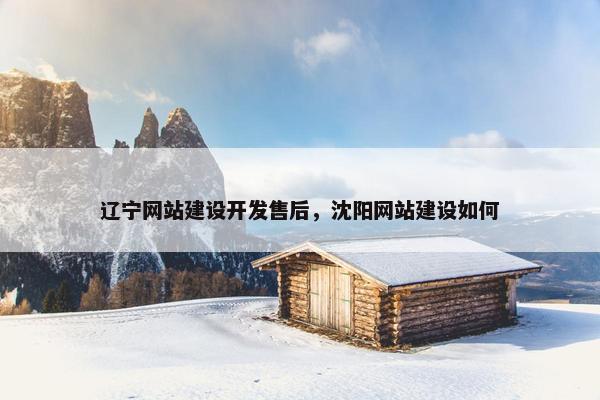 辽宁网站建设开发售后，沈阳网站建设如何