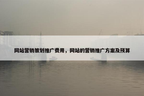 网站营销策划推广费用，网站的营销推广方案及预算