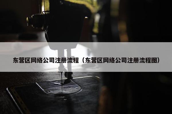 东营区网络公司注册流程（东营区网络公司注册流程图）