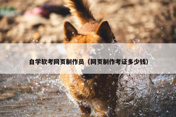 自学软考网页制作员（网页制作考证多少钱）