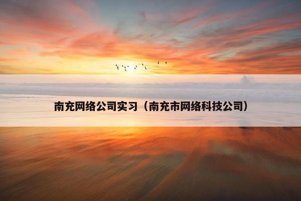 南充网络公司实习（南充市网络科技公司）