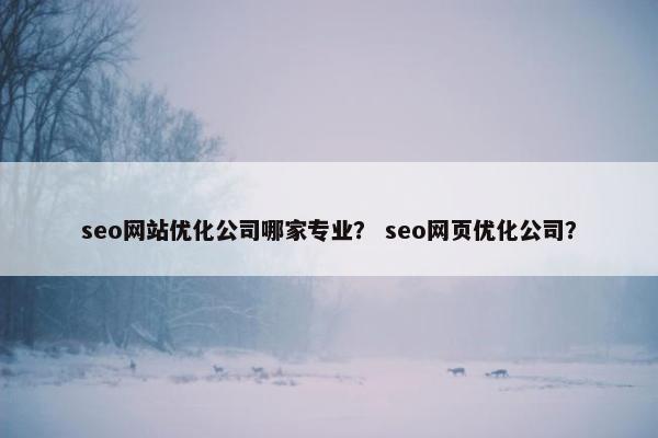 seo网站优化公司哪家专业？ seo网页优化公司？