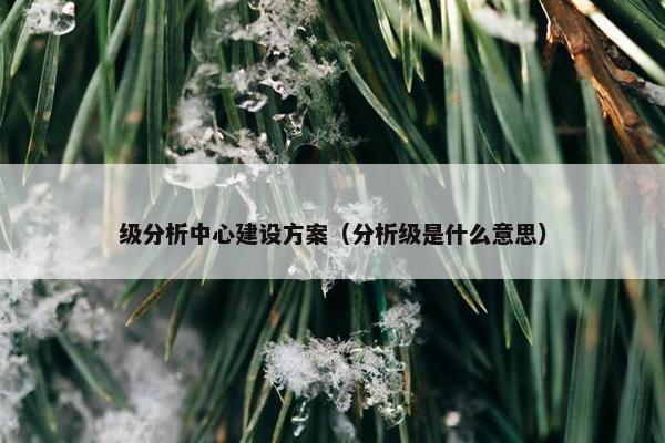 级分析中心建设方案（分析级是什么意思）