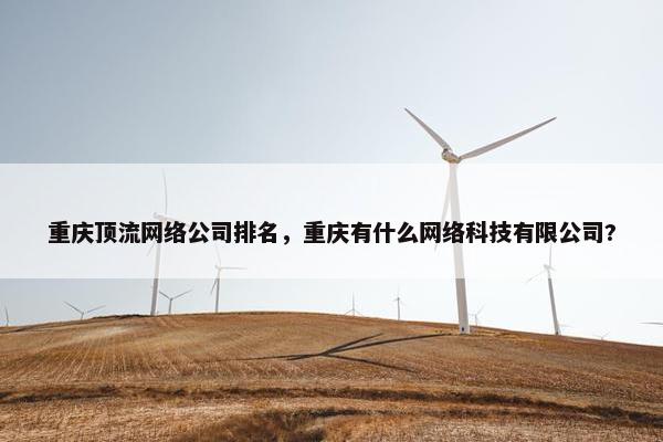重庆顶流网络公司排名，重庆有什么网络科技有限公司?