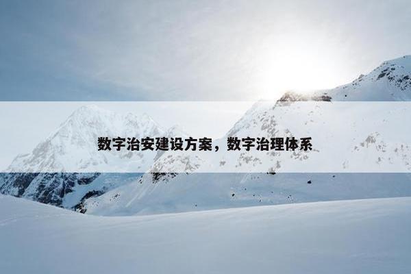 数字治安建设方案，数字治理体系