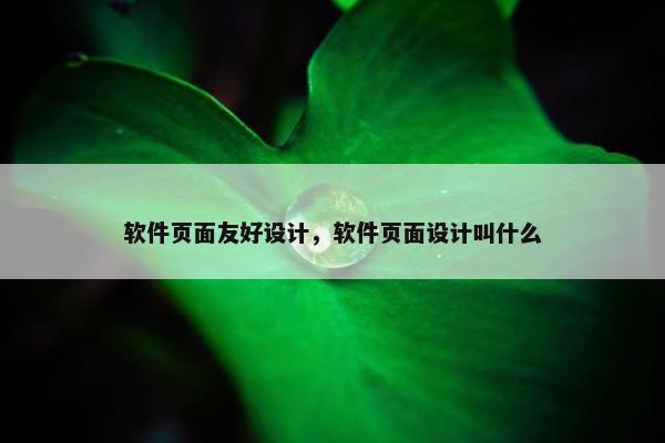 软件页面友好设计，软件页面设计叫什么