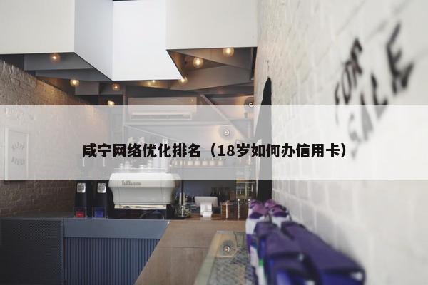 咸宁网络优化排名（18岁如何办信用卡）