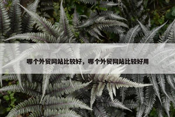 哪个外贸网站比较好，哪个外贸网站比较好用