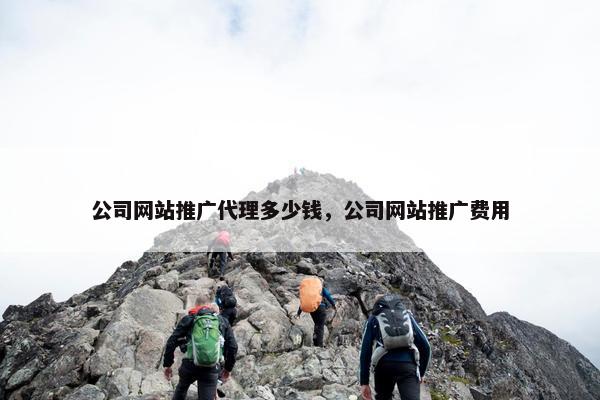 公司网站推广代理多少钱，公司网站推广费用