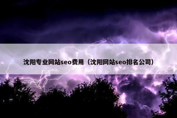 沈阳专业网站seo费用（沈阳网站seo排名公司）