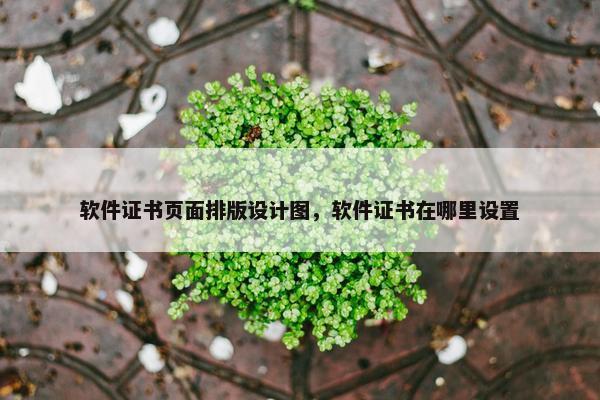 软件证书页面排版设计图，软件证书在哪里设置