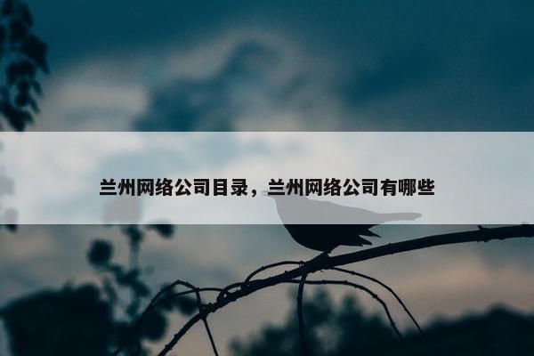 兰州网络公司目录，兰州网络公司有哪些