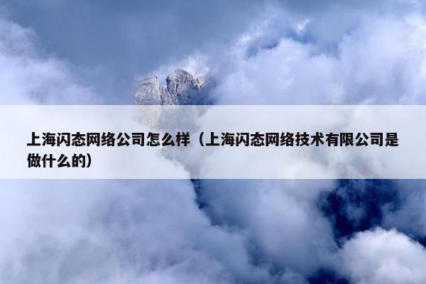 上海闪态网络公司怎么样（上海闪态网络技术有限公司是做什么的）