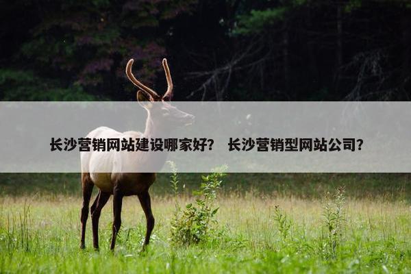 长沙营销网站建设哪家好？ 长沙营销型网站公司？