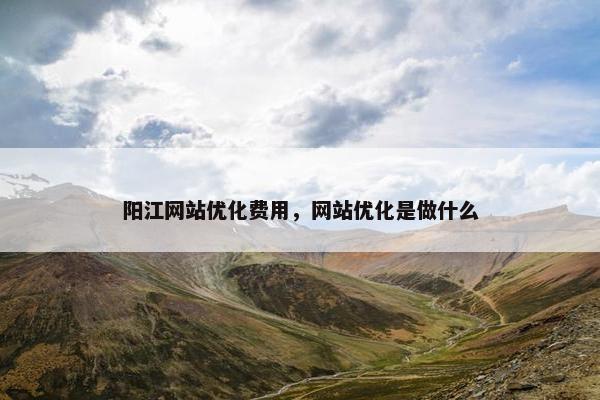 阳江网站优化费用，网站优化是做什么