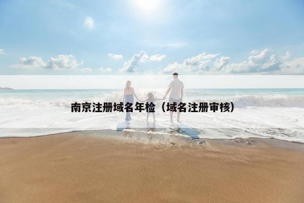 南京注册域名年检（域名注册审核）